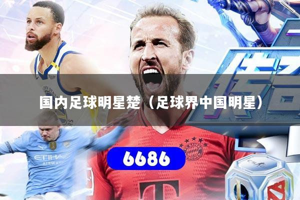 国内足球明星楚（足球界中国明星）