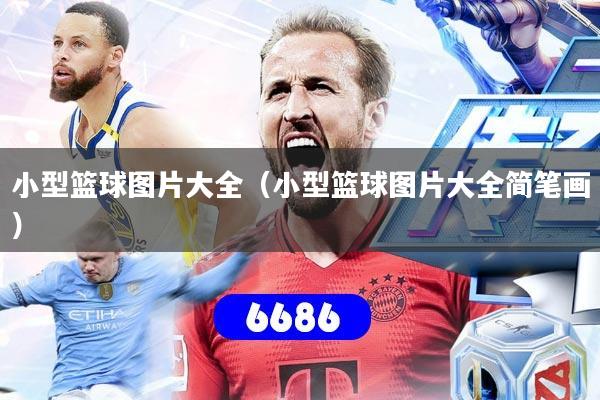 小型篮球图片大全（小型篮球图片大全简笔画）